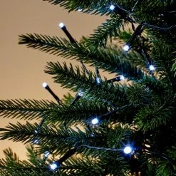 Best reviews of ✔️ Dunelm 50 Battery Operated LED Lights ⌛