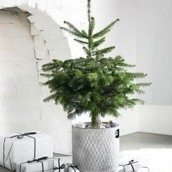 Discount 😉 Ivyline Indoor Zinc 🎄 Christmas Tree Bucket 23cm ⭐