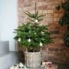 Outlet 💯 Ivyline Rattan ❄ Christmas Tree Basket 32cm 👍