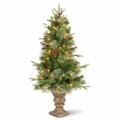 Wholesale ✔️ National Tree Company 4ft LED Colonial Fir Entrance 🎅 Christmas Tree 🧨