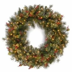 Promo 🛒 National Tree Company 24" LED Wintry Pine Wreath 🔔