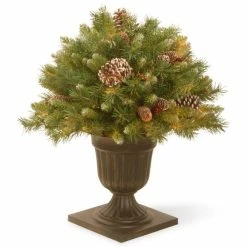 Best reviews of 🌟 Norfolk Leisure 26" Frost Berry Porch Bush in a Bronze Urn 🔥