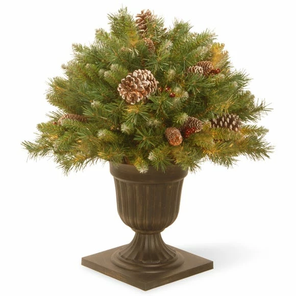 Best reviews of ๐ Norfolk Leisure 26" Frost Berry Porch Bush in a Bronze Urn ๐ฅ