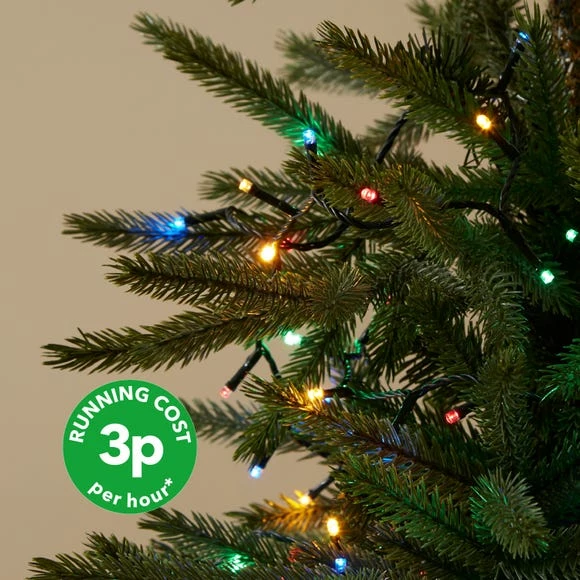 Coupon π Dunelm 2000 LED Multi-Single Colour Mains Chain Lights π