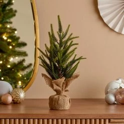 Best reviews of 🧨 Dunelm Upswept Table Top Tree 🔔