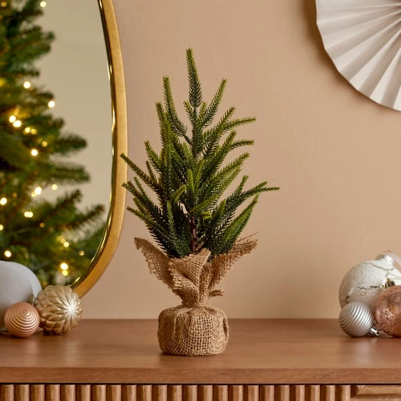 Best reviews of 𧨠Dunelm Upswept Table Top Tree π