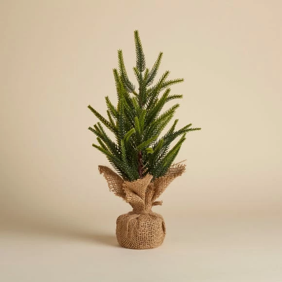 Best reviews of 𧨠Dunelm Upswept Table Top Tree π - Image 3