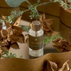 Budget 👏 Dunelm Festive Spruce Refresher Oil 👍