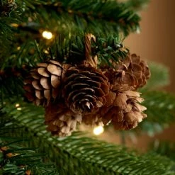 Best deal 🔔 Dunelm Pack of 6 DIY Natural Cones 😉