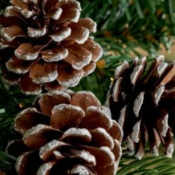 Best Sale 😍 Dunelm Snowy Painted Pinecone Pick 19cm 😉
