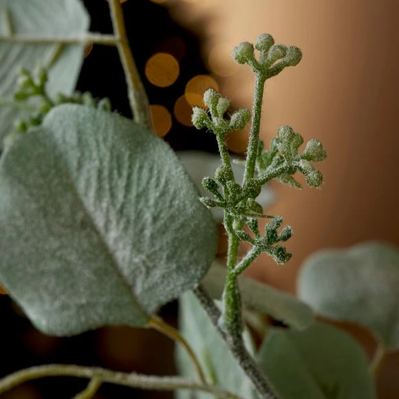 Best reviews of π Dunelm Snowy Dollar Eucalyptus Stem π₯° - Image 2