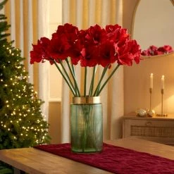 Coupon 🔥 Dunelm Red Amaryllis Stem 60cm 😉