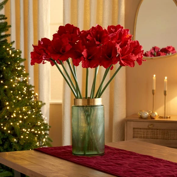 Coupon π₯ Dunelm Red Amaryllis Stem 60cm π