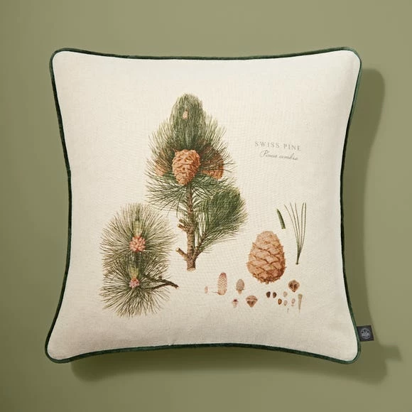 Buy π Natural History Museum Pine Cushion π - Image 6