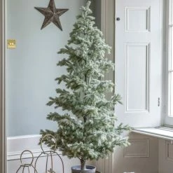 Budget 😀 5.5ft Frosted Green 🎄 Christmas Tree 😍