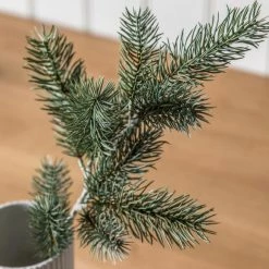 Best reviews of 🎁 Pack of 3 Classic Pine Spray 🥰