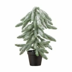 Best reviews of 😍 Frosted Pine Tree in Pot 45cm ❤️