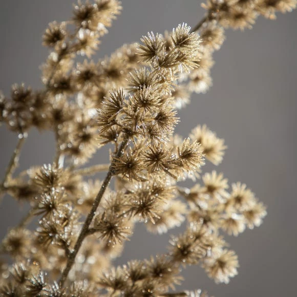 Wholesale π Pack of 3 Golden Cedar Pine Sprays π - Image 2